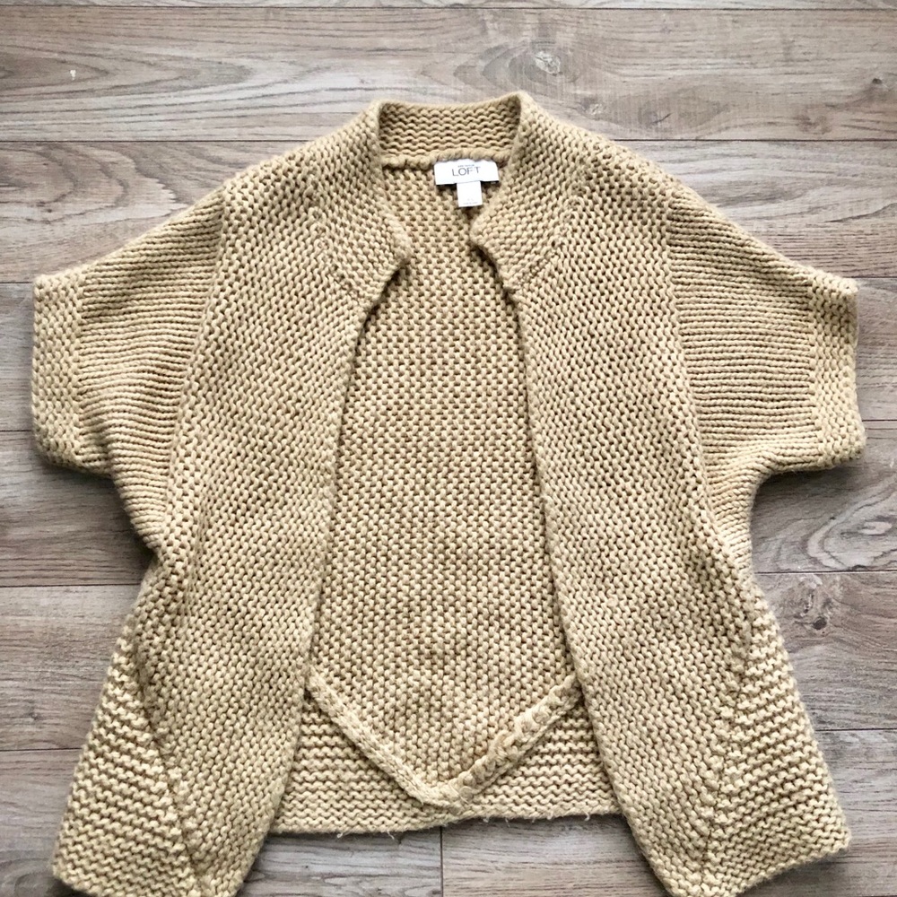Ann Loft Taylor sweater